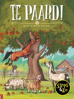 Te paard! 1 - Hiep hinnik hoera