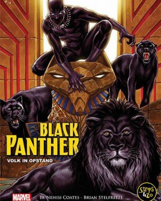 black panther 2 scaled