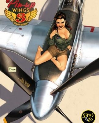 pin up wings 3