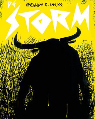 De storm (Ineke)