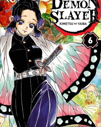 Demon Slayer (NL) 6 - Kimetsu no Yaiba 6