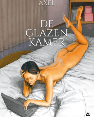 De glazen kamer